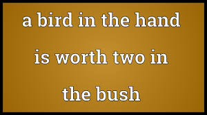 A bird in the hand is worth two in the bush Meaning - YouTube